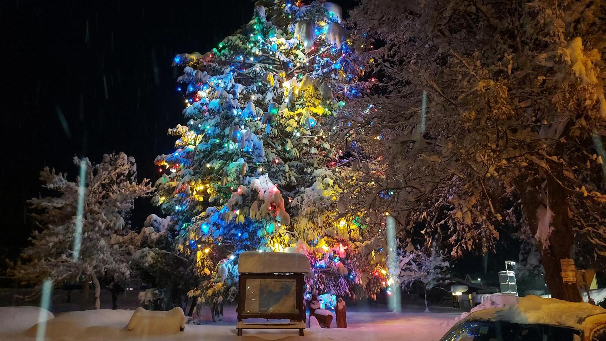 Lipno Apartments Bergmax, Ski Areal Lipno 16Min Dojezd - Resort Male Lipno S Terasou A Zahradkou, Parking Free Černá v Pošumaví المظهر الخارجي الصورة